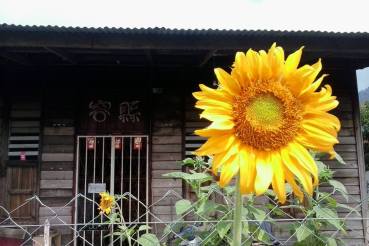 Sauk - Find your uniquely local staycation at LokaLocal