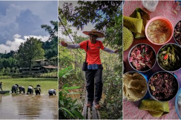 Long Semadoh Harvest Experience